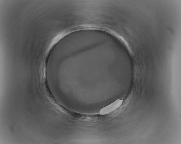 X0000111861365200907231443