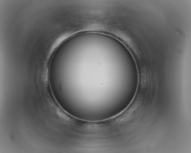 X0000111861366200907231443