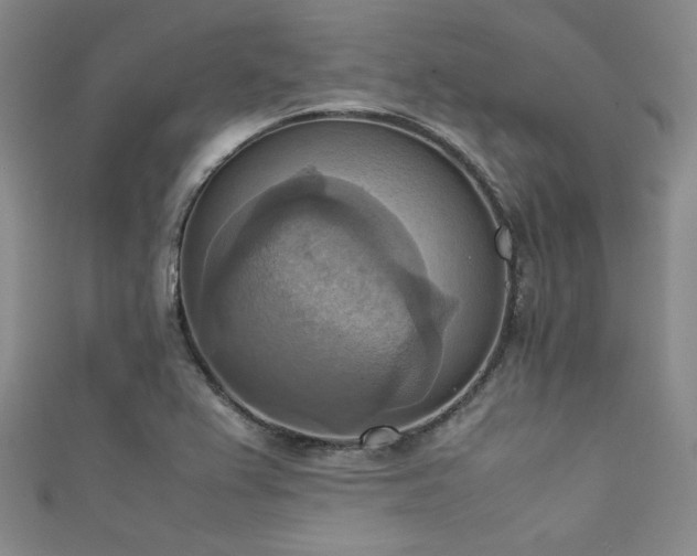 X0000111861367200907231443