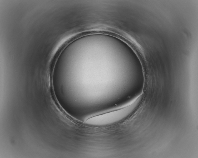 X0000111861368200907231443