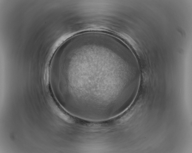 X0000111861371200907231443