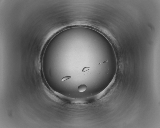 X0000111861372200907231443