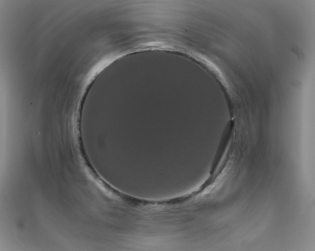 X0000111861373200907231443
