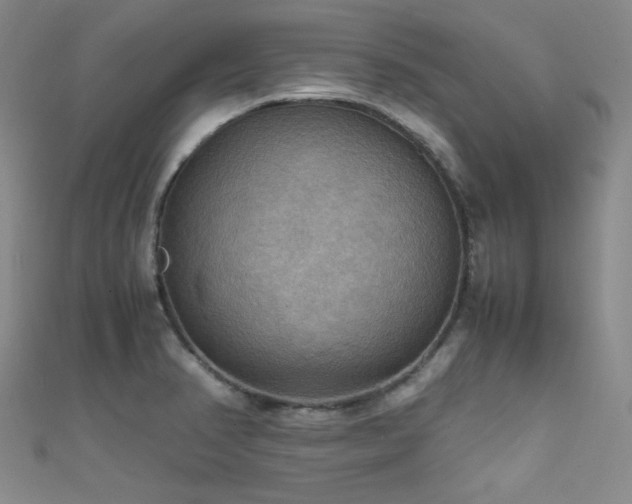 X0000111861374200907231443