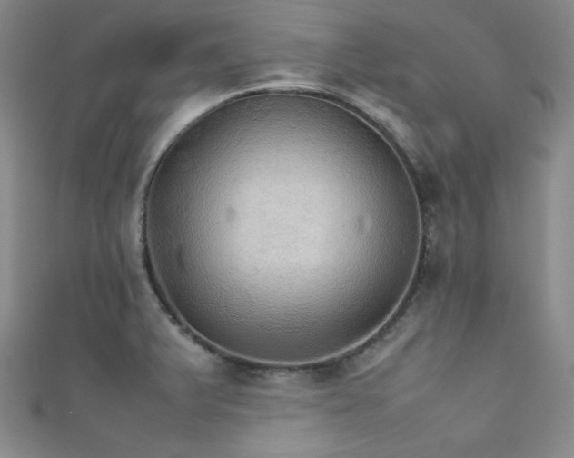 X0000111861375200907231443