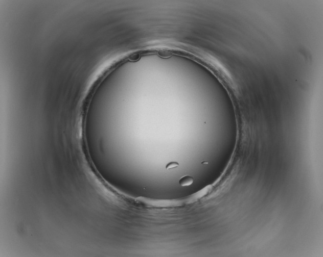 X0000111861376200907231443