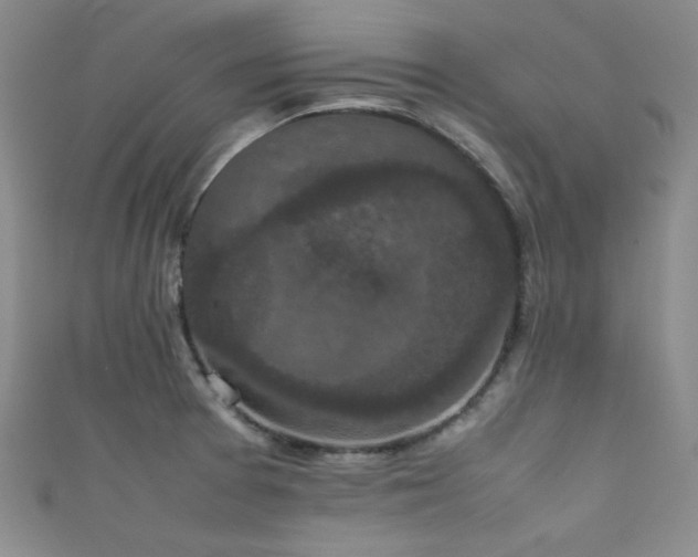 X0000111861377200907231443