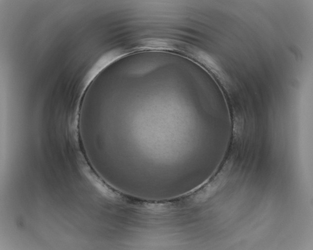 X0000111861378200907231443