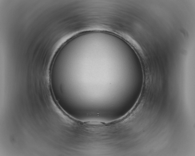 X0000111861380200907231443