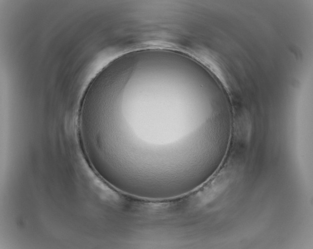X0000111861381200907231443