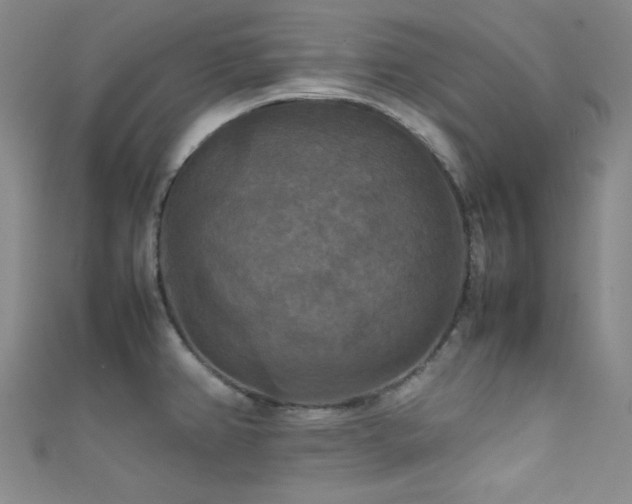 X0000111861382200907231443