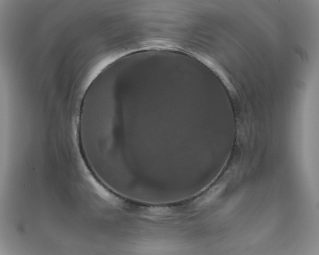 X0000111861383200907231443