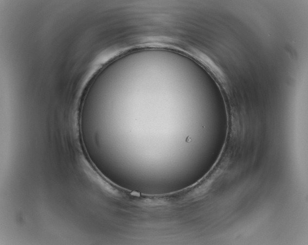X0000111861384200907231443