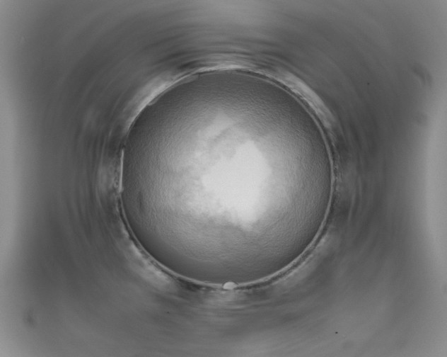 X0000111861385200907231443