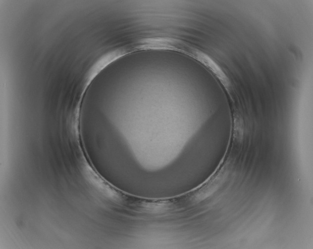 X0000111861386200907231443