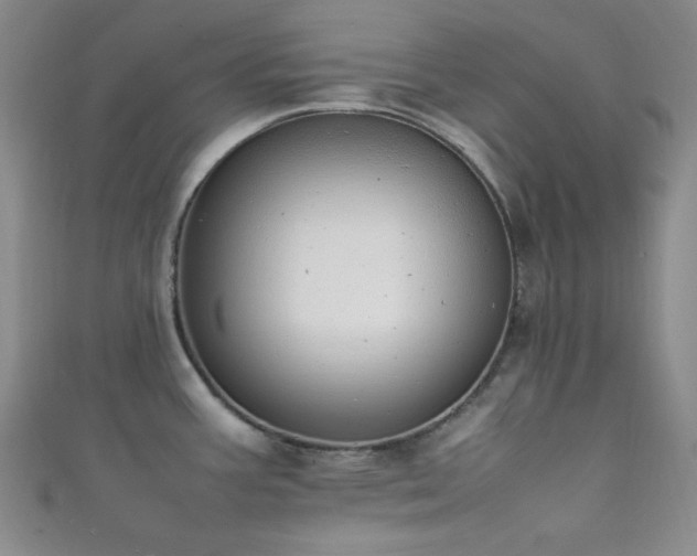 X0000111861387200907231443