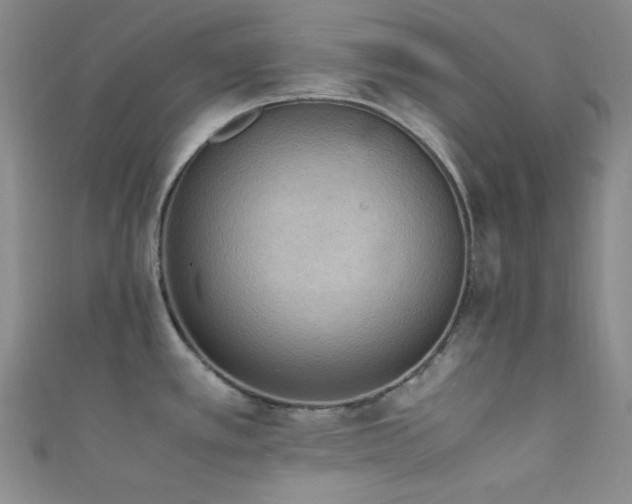X0000111861389200907231443