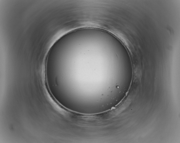 X0000111861391200907231443
