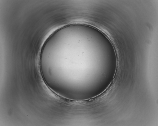X0000111861392200907231443