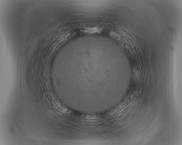 X0000111861393200907231442