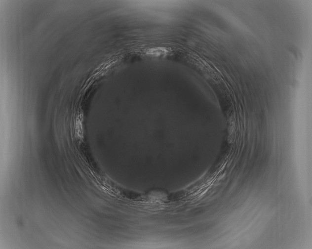 X0000111861394200907231442