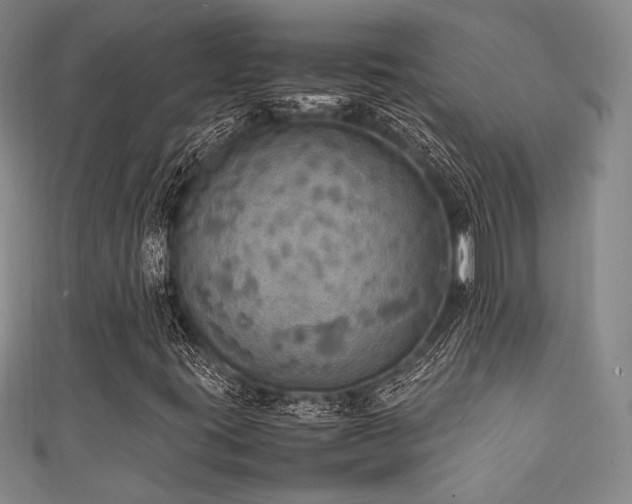 X0000111861395200907231442