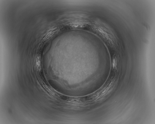 X0000111861396200907231442