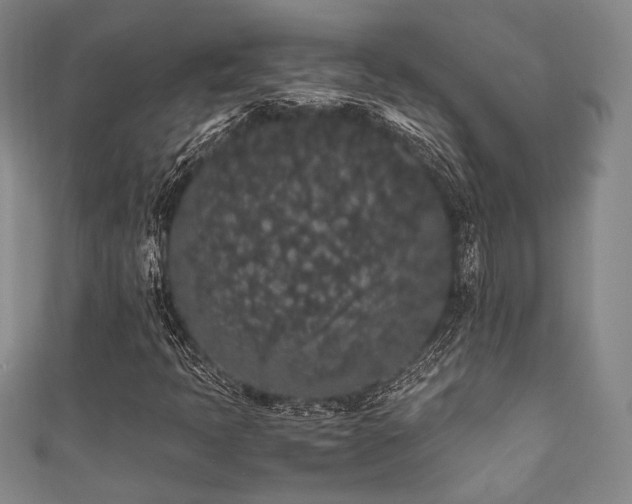 X0000111861397200907231442