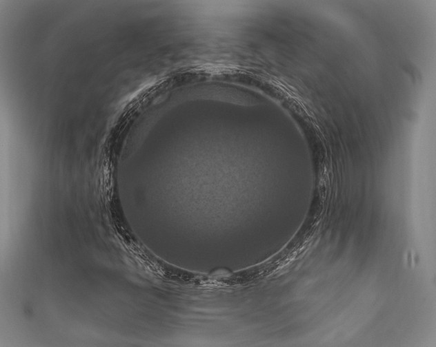 X0000111861398200907231442