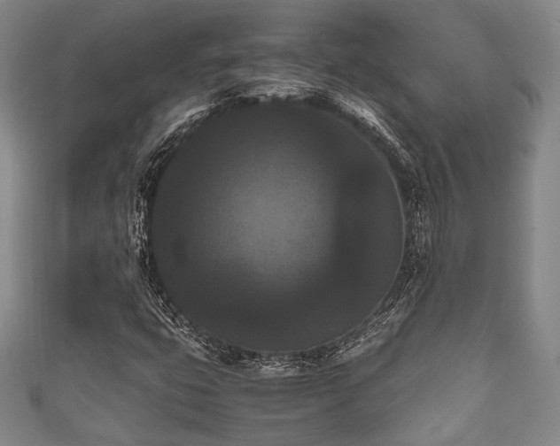 X0000111861399200907231442