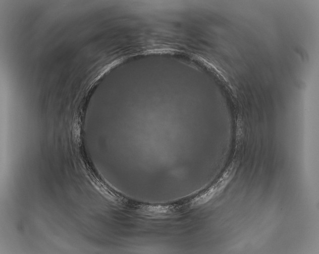 X0000111861401200907231442