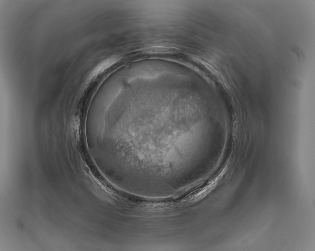 X0000111861402200907231442