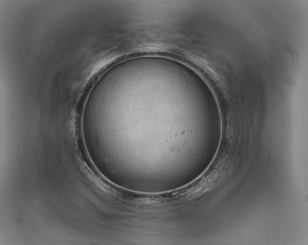 X0000111861404200907231442