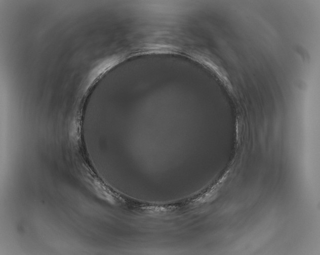 X0000111861405200907231442