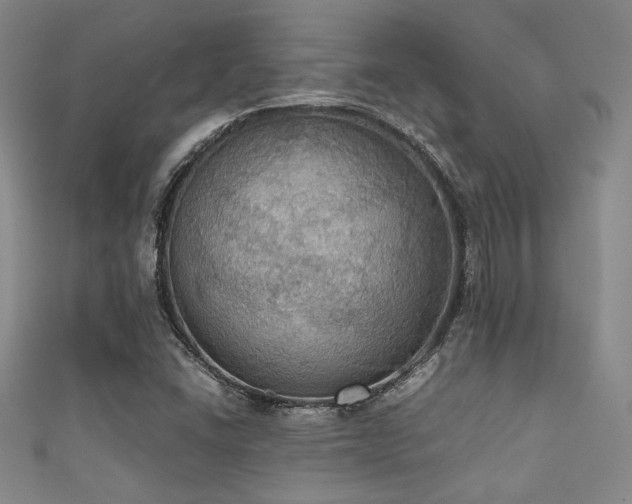 X0000111861406200907231442