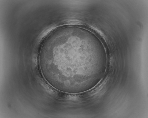 X0000111861407200907231442