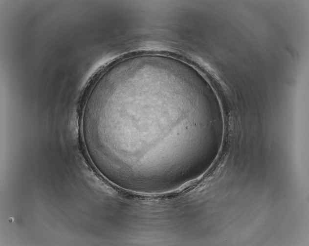 X0000111861408200907231442