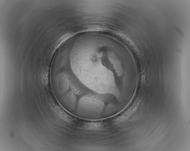 X0000111861409200907231442