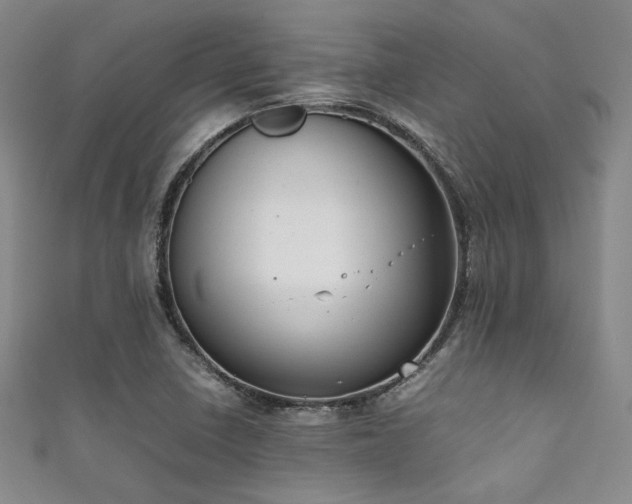 X0000111861410200907231442