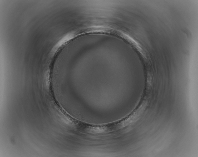 X0000111861411200907231442