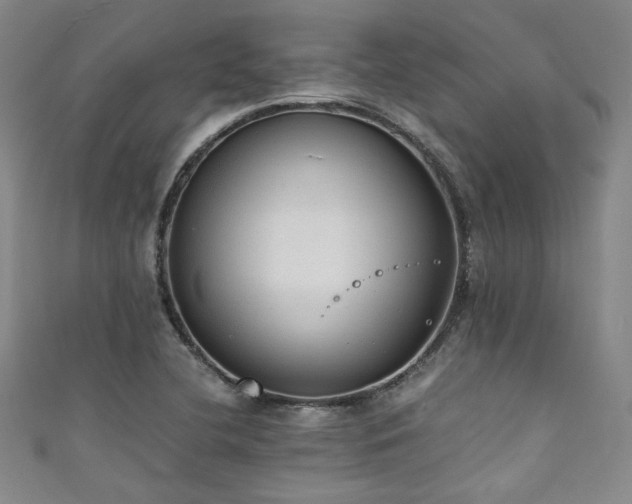 X0000111861412200907231442