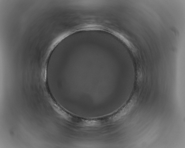 X0000111861413200907231442