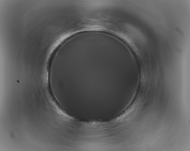 X0000111861414200907231442