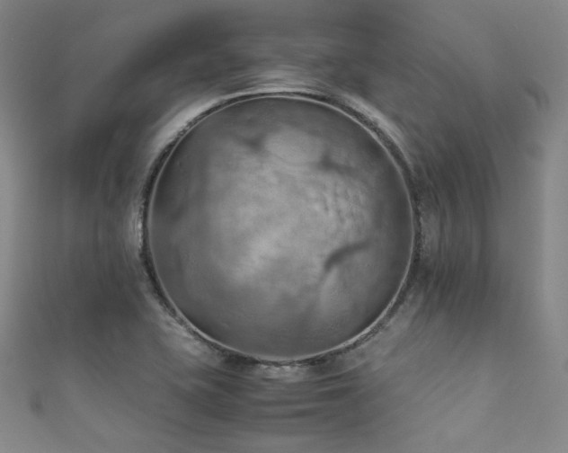X0000111861415200907231442