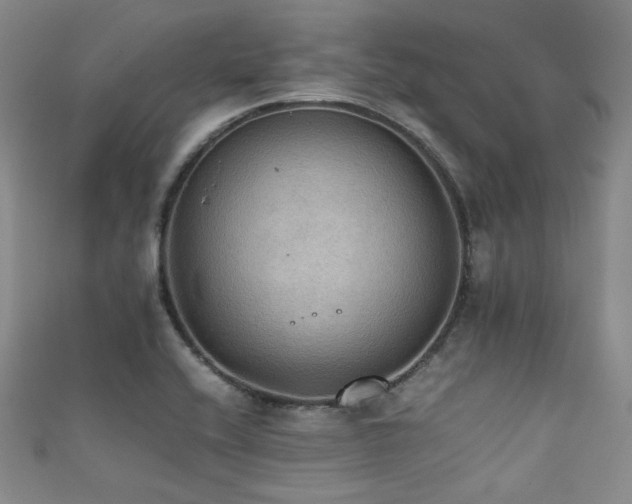 X0000111861416200907231442