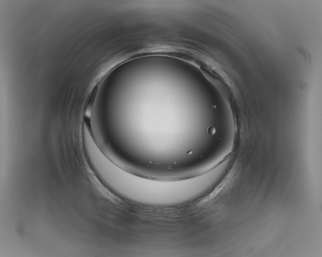 X0000111861417200907231442