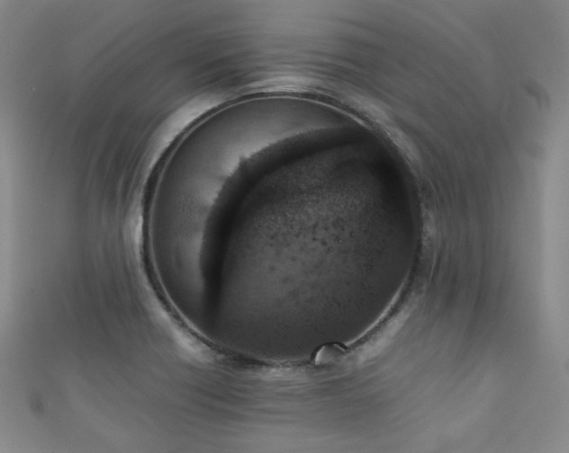 X0000111861418200907231442