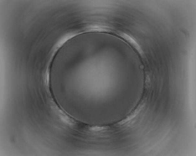 X0000111861419200907231442