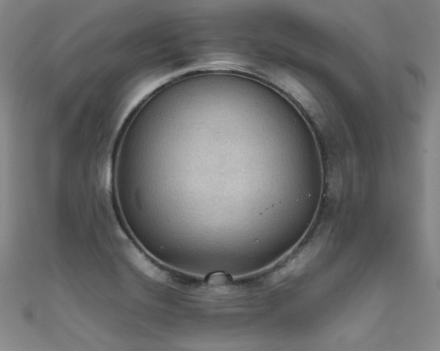 X0000111861420200907231442