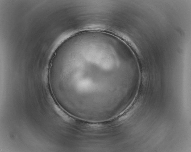X0000111861421200907231442